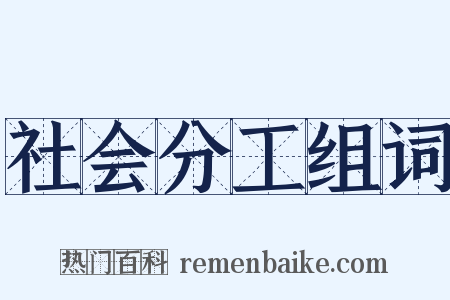 社会分工组词是什么意思的图片